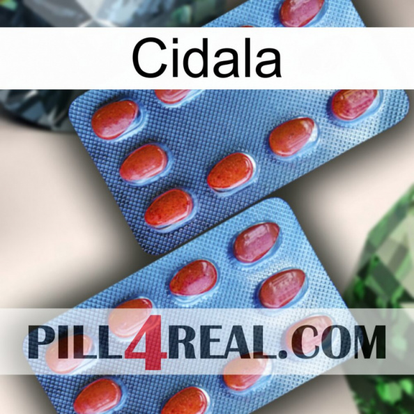 Cidala 05.jpg